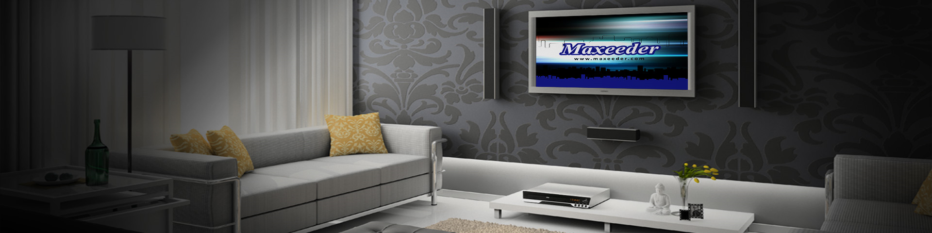 Home DVD Players